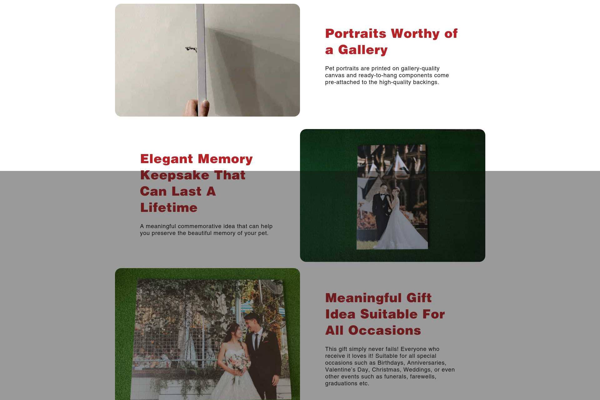amberartgallery-com-products-custom-human-photo-canvas-print