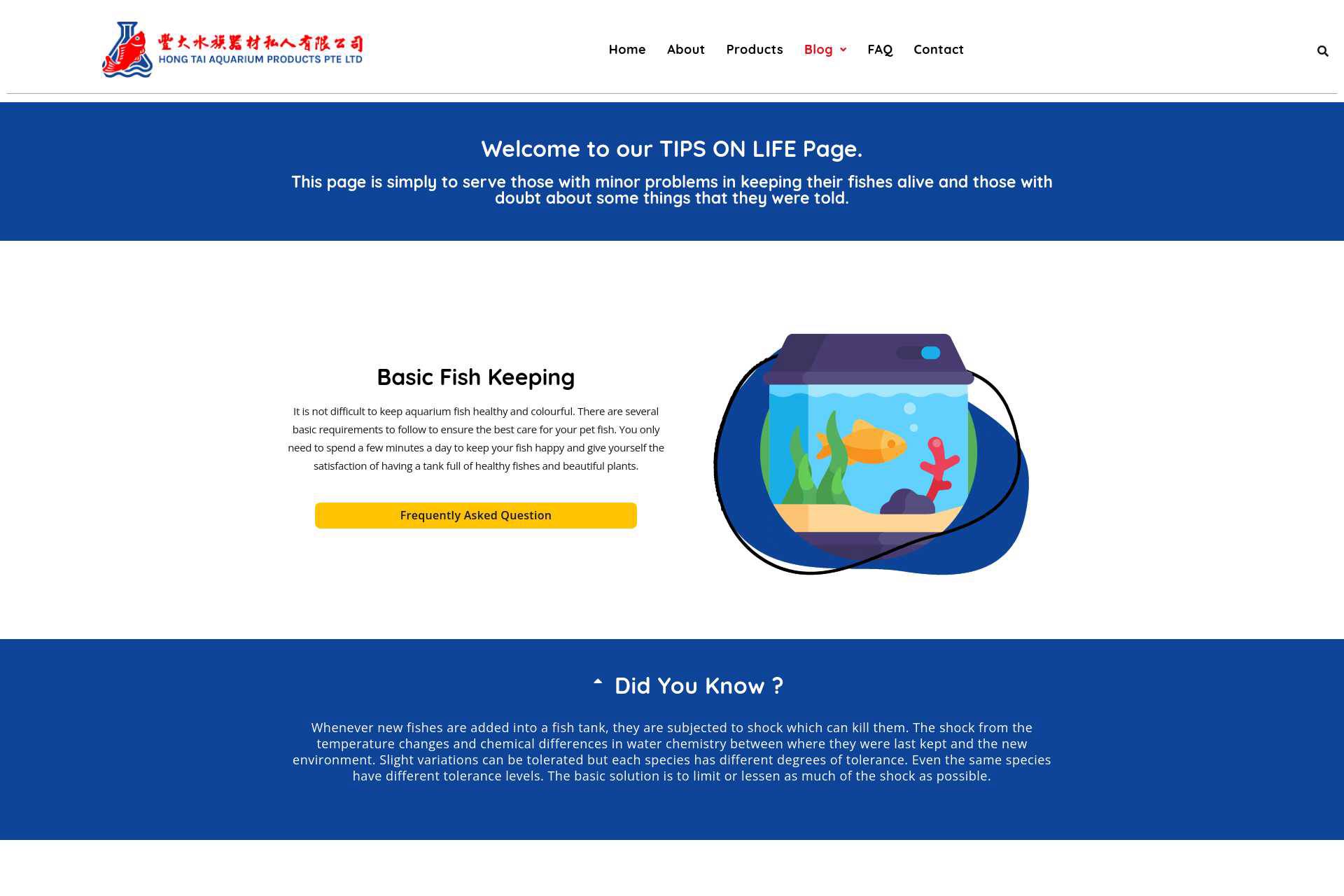 hongtai-com-sg-basic-fish-keeping