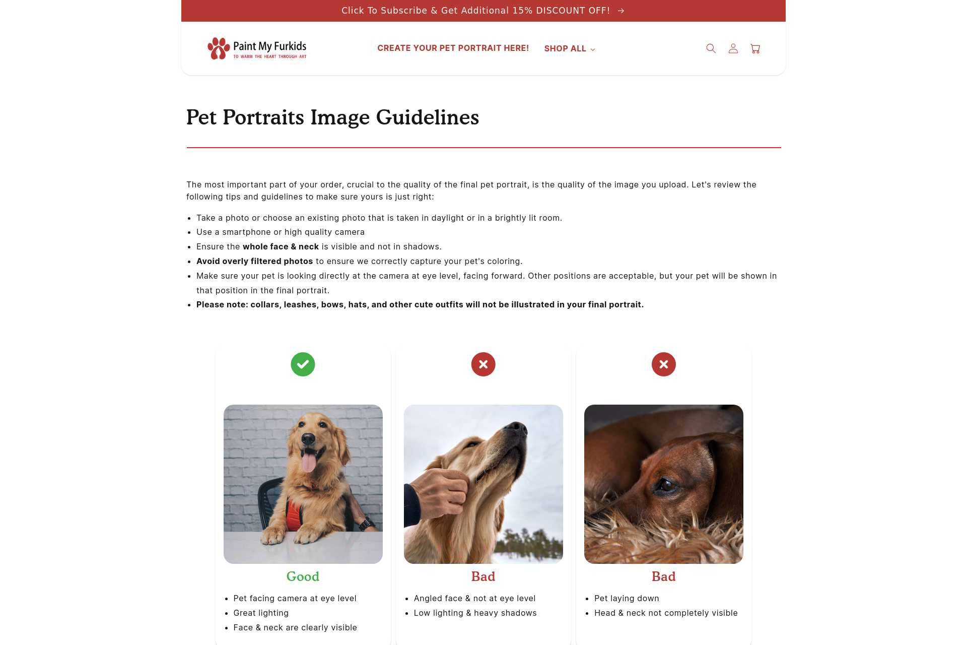 paintmyfurkids-com-pages-pet-portraits-image-guidelines