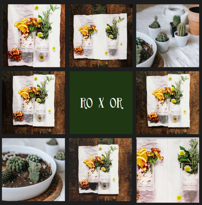 roux.sg-socialmedia-3