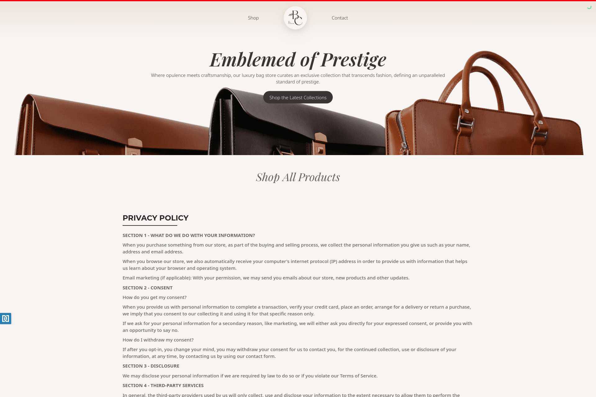 store-debagcurator-com-page-privacy-policy