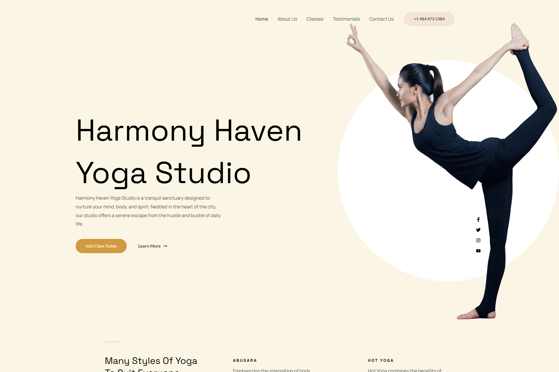 HarmonyHavenStudioYoga (1)