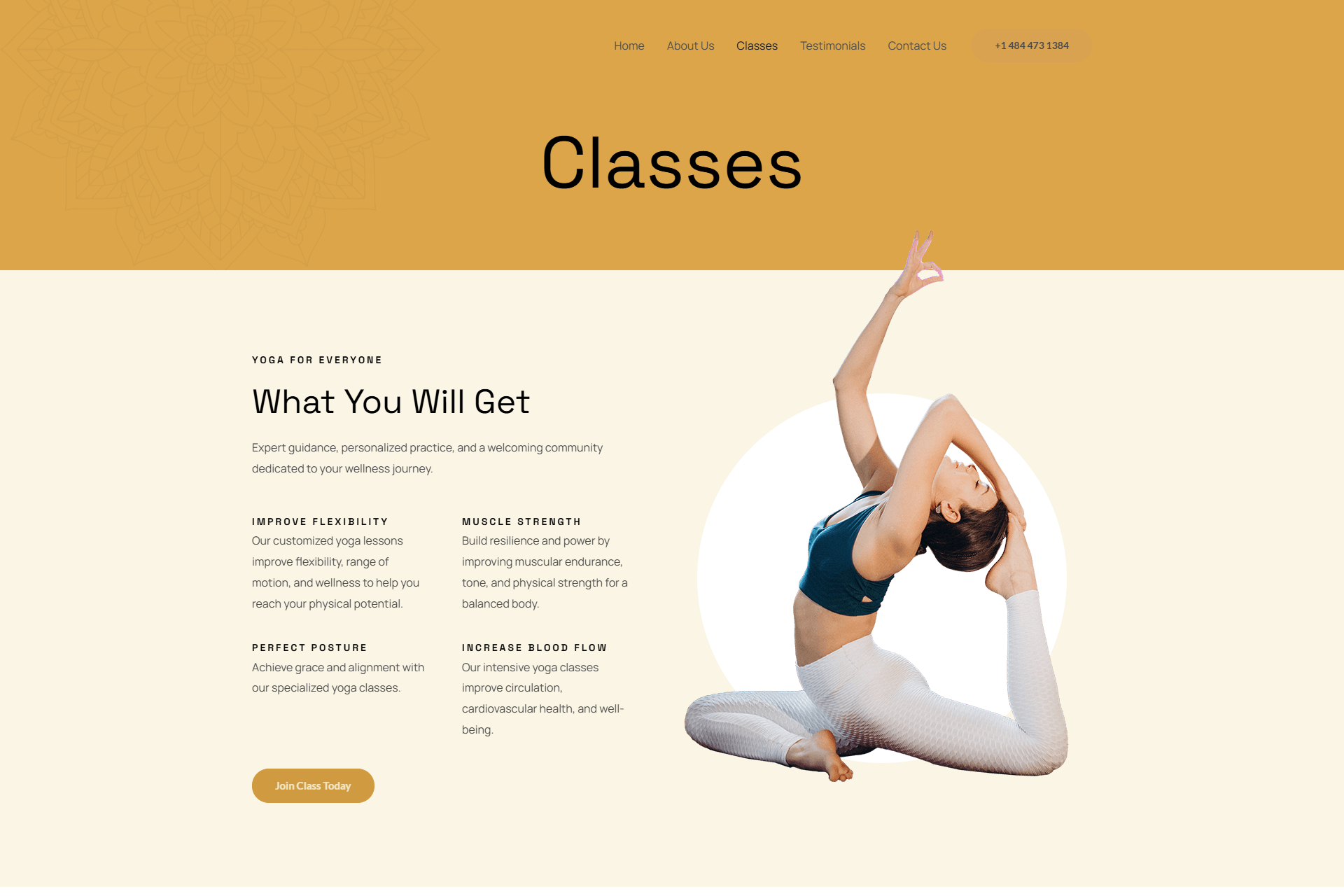 HarmonyHavenStudioYoga (3)